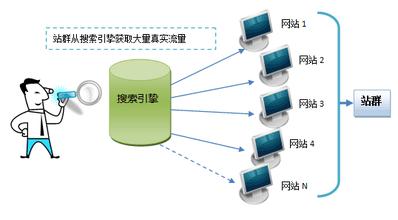 網(wǎng)站建設(shè)之站群SEO應(yīng)該怎樣操作？